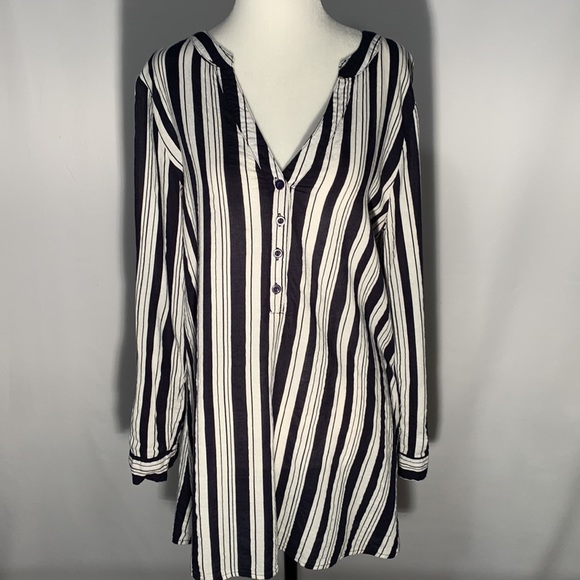 Papllion Size M - Picture 3 of 11